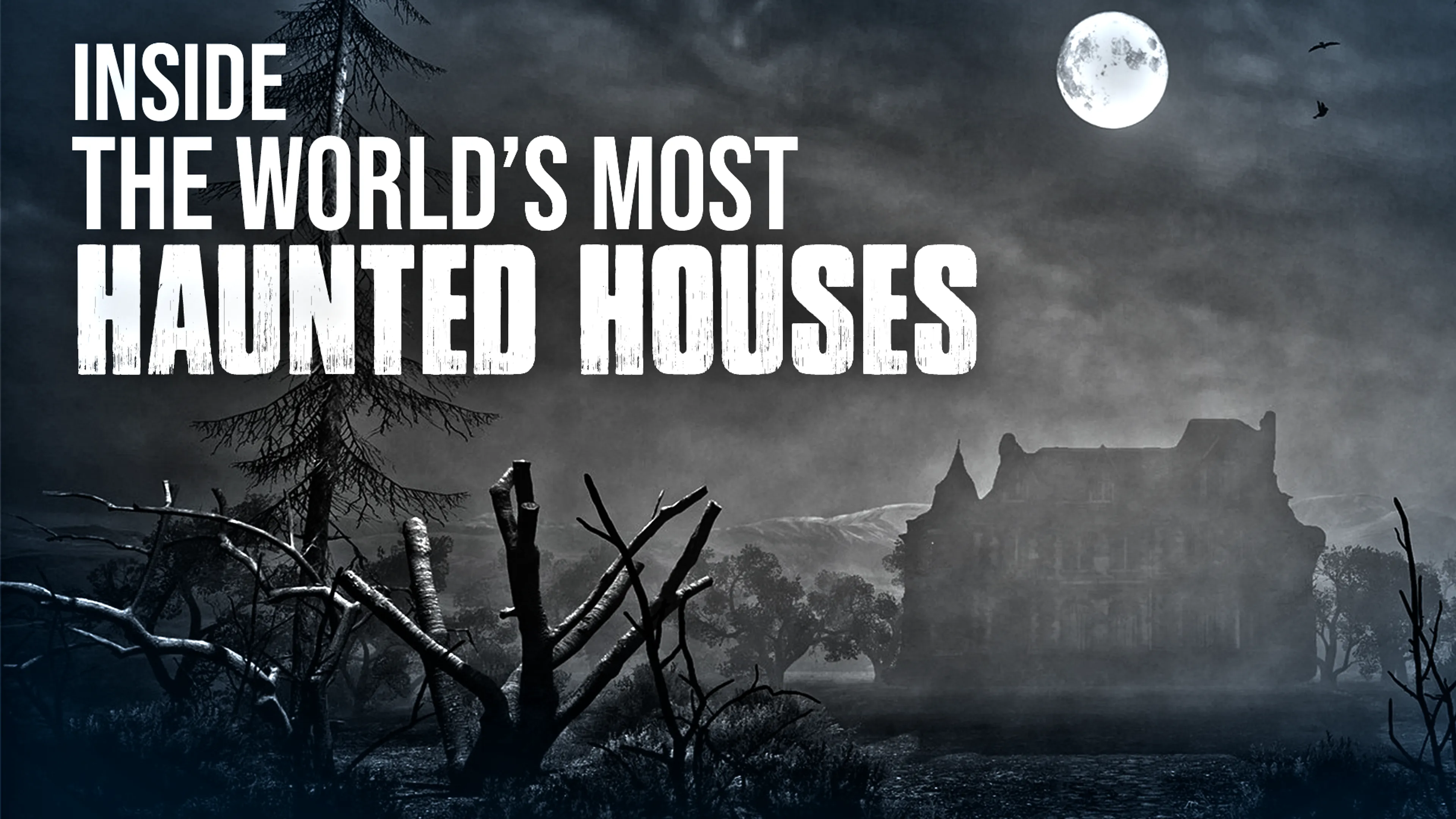 Inside the World's Most Haunted Houses poster